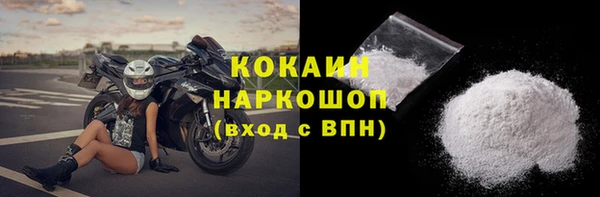 сатива Гвардейск