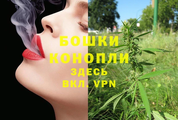 прущий лед Арсеньев