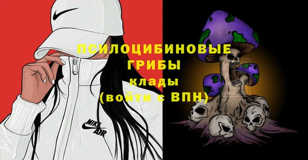 прущий лед Арсеньев